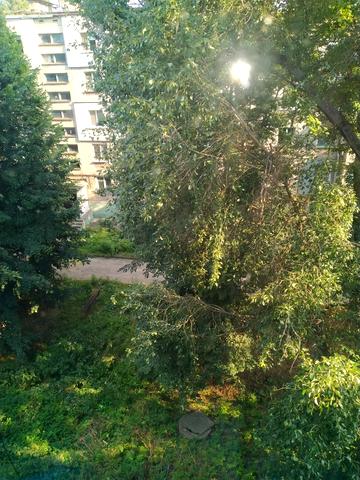 Польська вул., 278