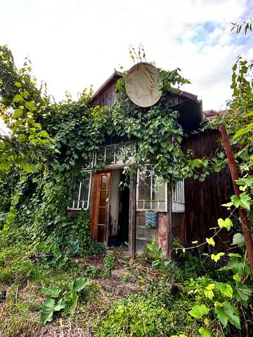 мартовича, 6