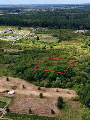 Добрівляни, Стрийський, Львівська область 11900 USD