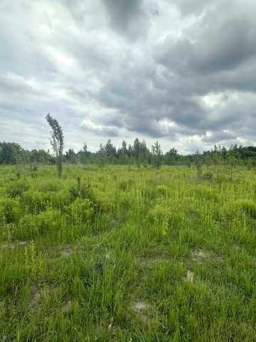 ДНЗ Барвінок, Крюківщина, Бучанський, Київська область 320000 USD