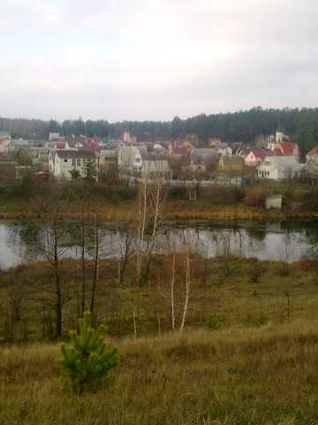 Лісова