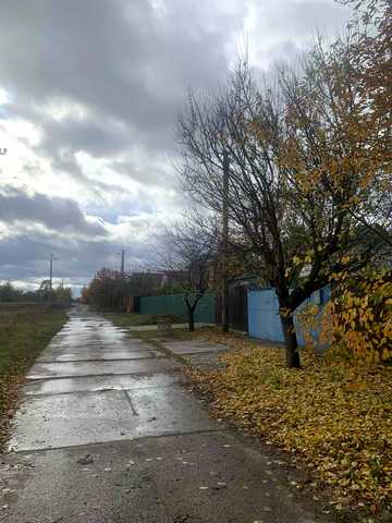 Лісова