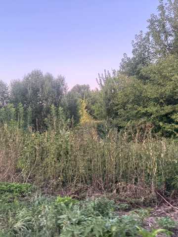 Островського, 6