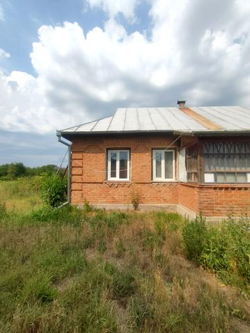 Толстого, 10