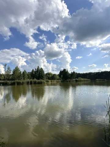 Плесецьке, Фастівський, Київська область 8000 USD