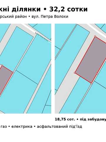 Петра Волохи, 27