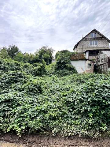 Промінь, Луцький, Волинська область 7500 USD
