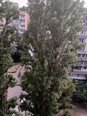 Академіка Заболотного вул., 38