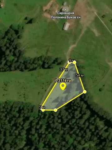 Ворохта, Надвірнянський, Івано-Франківська область 62000 USD