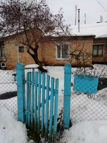 Центральна вул.