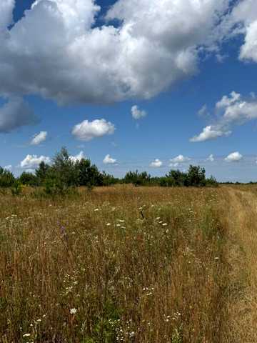 Лісне, Бучанський, Київська область 8500 USD