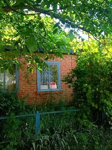 Ромашкова вул., 1
