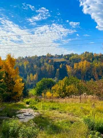 Зелений Гай вул.