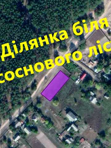 Соборна