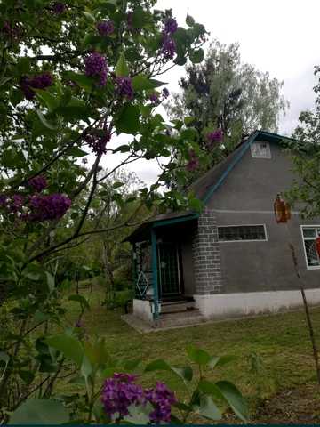 Лугова
