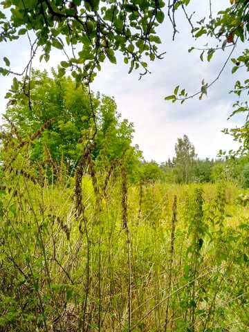 Зарічна, 31