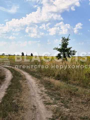 Красилівка, Броварський, Київська область 135000 USD