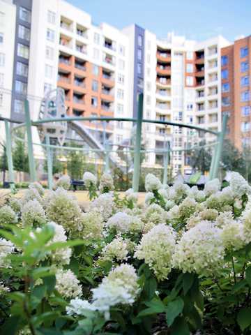 Ольги Кобилянської вул. (Достоєвського), (Будинок 38)