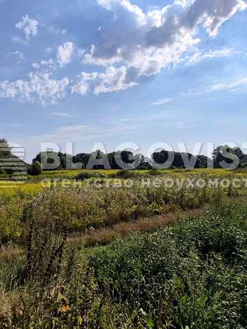 Красилівка, Броварський, Київська область 300000 USD