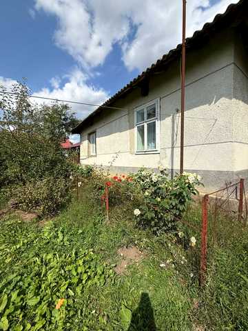 Царинка, 48