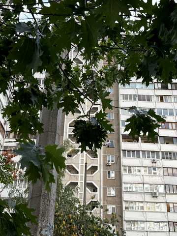 Петра Григоренка просп., 36-А