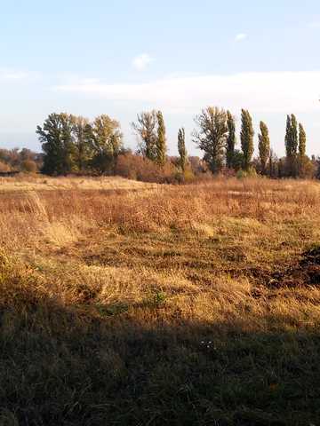 Лесі Українки, 33
