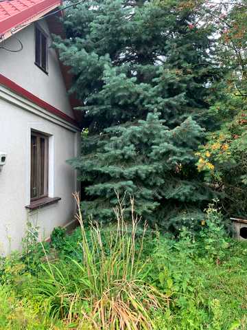 Ювілейна, 32