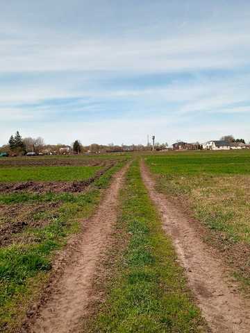 Нове Село вул.