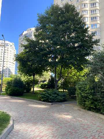 Березова вул., 2к2