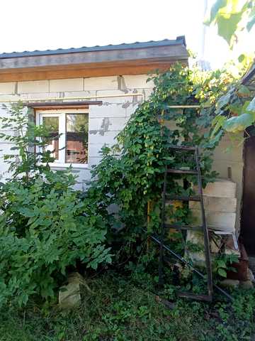 Поштовий пров., 2