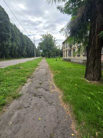 Дорожна вул., 38