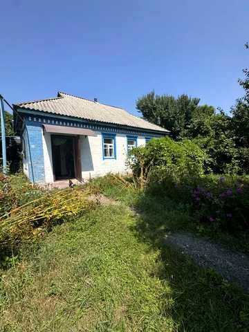 Донецька, 15