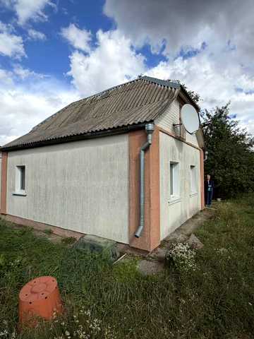зелена, 18