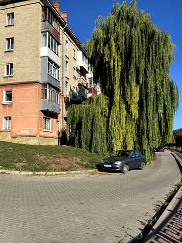Миру вул., 12