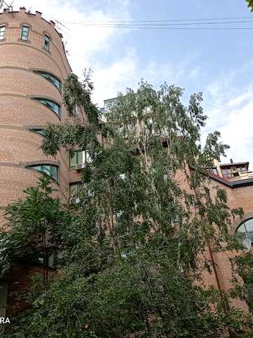 Назарівська вул. (Вєтрова), 7-Б