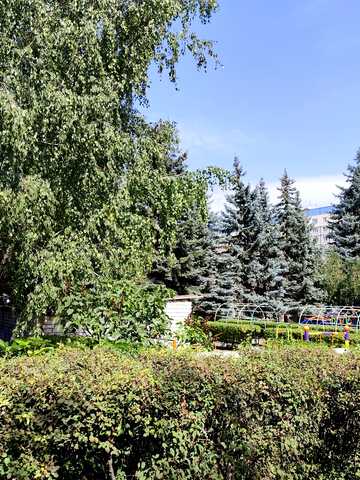 Велика Діївська вул. (Братів Трофімових), 52