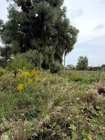 Карпенків вул.