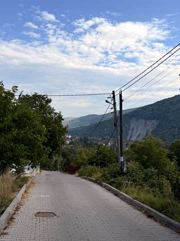 Галицька