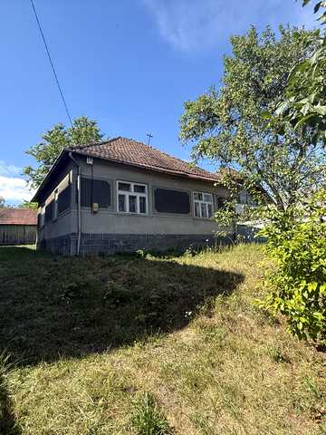 Миру, 54