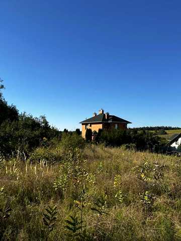 Польова, 5