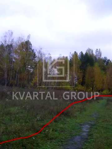 Нижча Дубечня, Вишгородський, Київська область 20000 USD