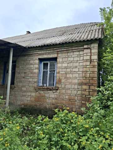 Степова, 11