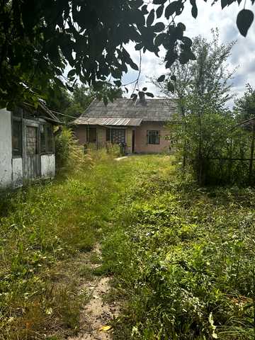 Калитки, 20