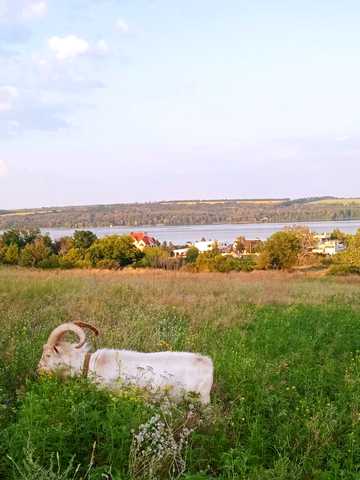 Центральна, 50