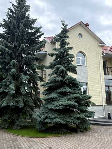 Коротницького