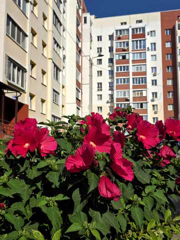 Драгоманова вул., 6Б