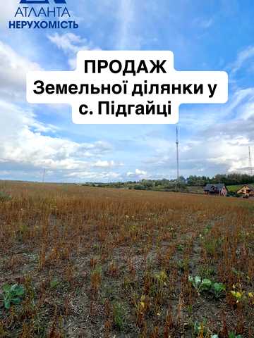 Дубнівський пров., 6