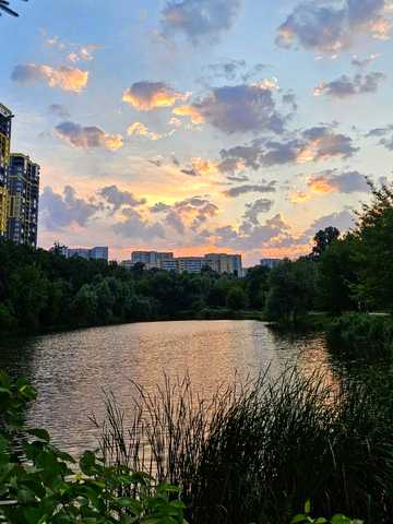 Петра Радченка вул., (Будинок 1)