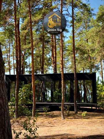 Зелений бір, 4