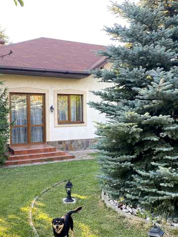 Світла вул.